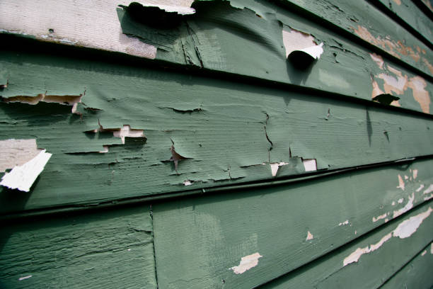 Best Retail Junk Removal  in Maroa, IL